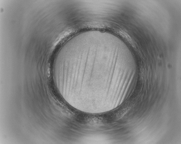 X0000088160731200706051051