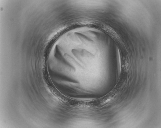 X0000088160732200706051051