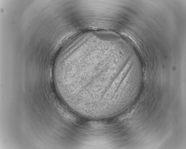 X0000088160733200706051051