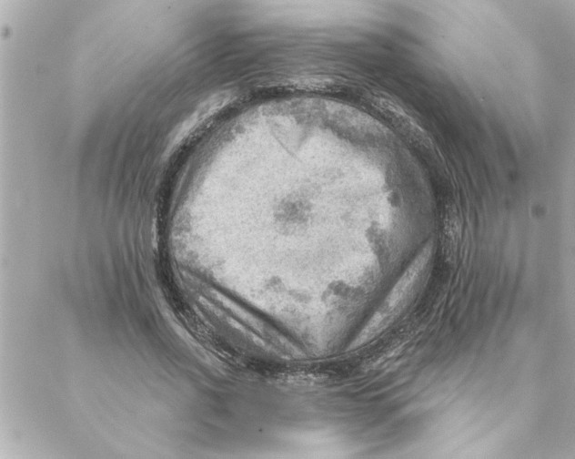 X0000088160734200706051051