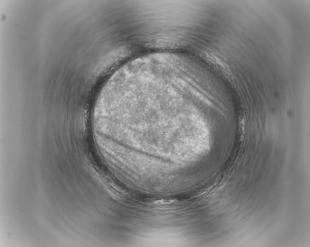 X0000088160735200706051051