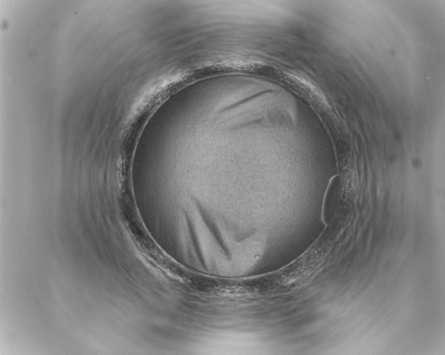 X0000088160736200706051051