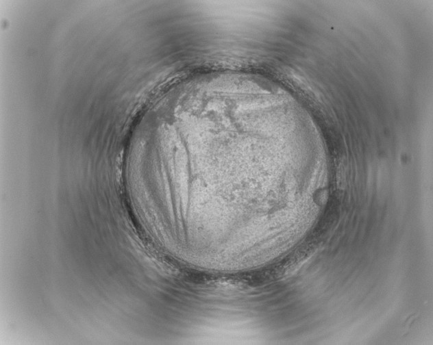 X0000088160737200706051051