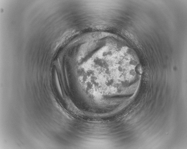 X0000088160738200706051051