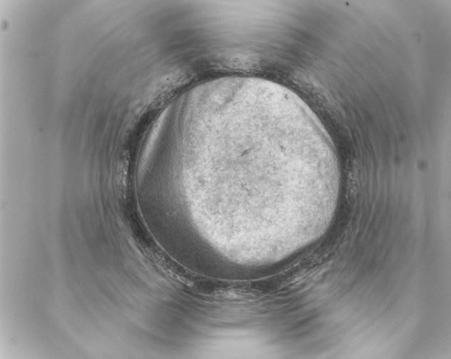 X0000088160739200706051051