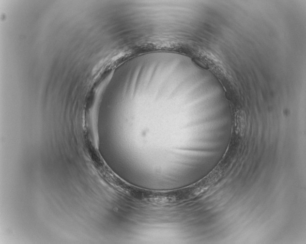 X0000088160740200706051051