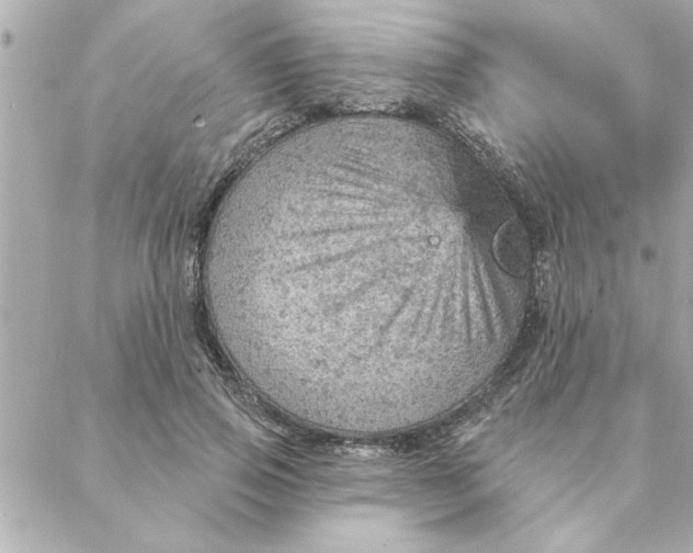 X0000088160741200706051051