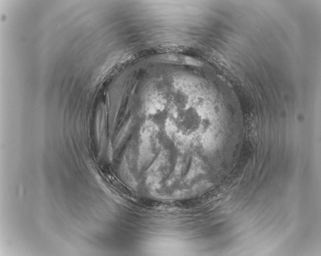 X0000088160742200706051051