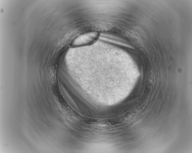 X0000088160743200706051051