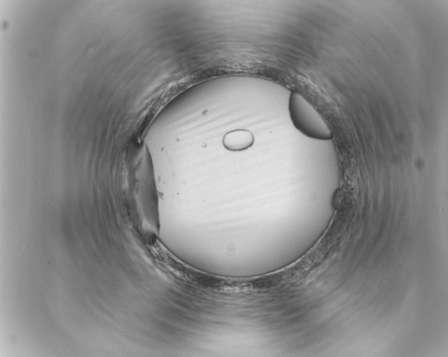 X0000088160744200706051051