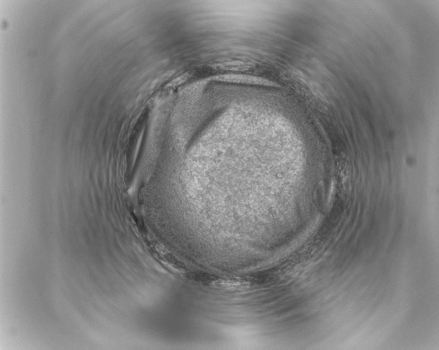 X0000088160745200706051051