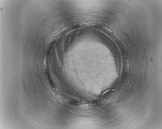 X0000088160746200706051051