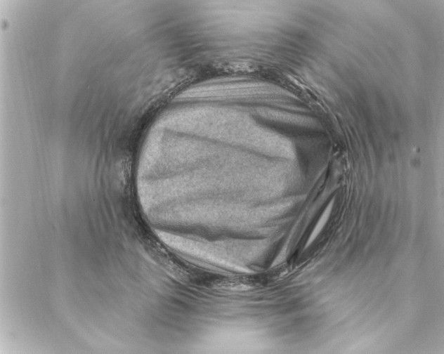 X0000088160747200706051051