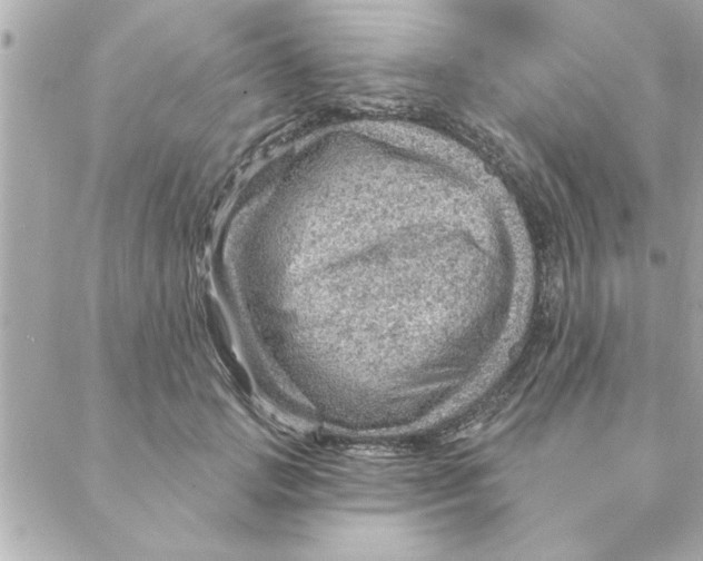 X0000088160749200706051051