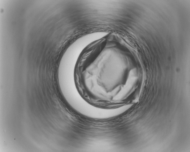 X0000088160750200706051051