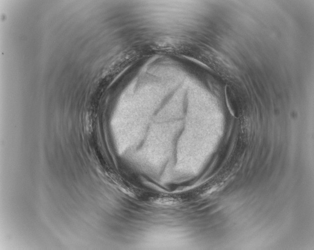 X0000088160751200706051051