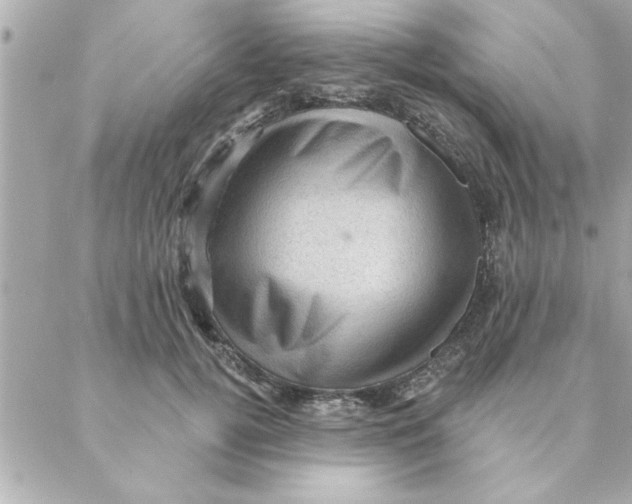 X0000088160752200706051051