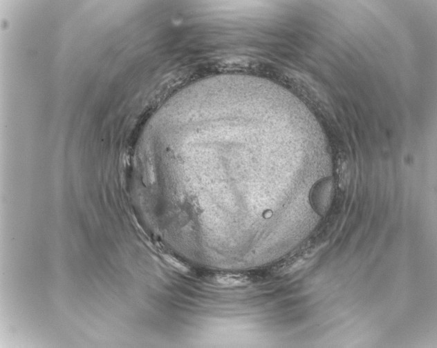 X0000088160753200706051051