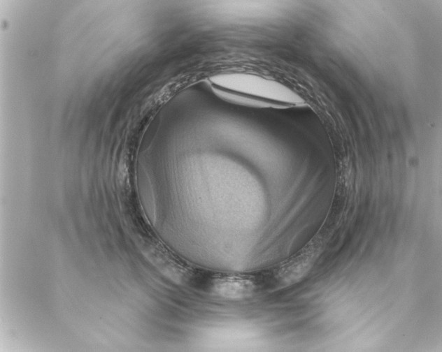 X0000088160754200706051051