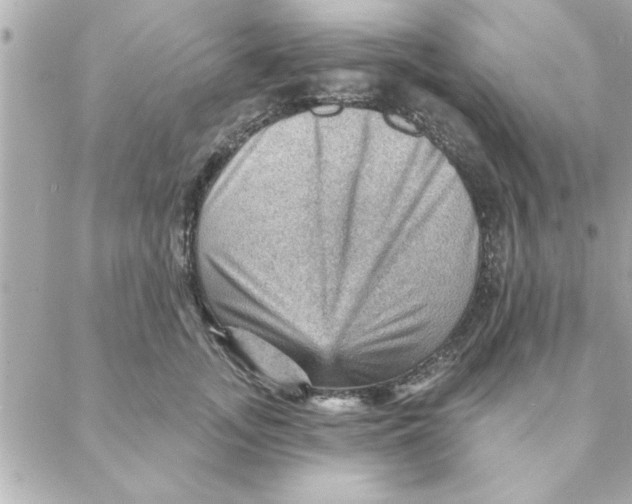 X0000088160755200706051051