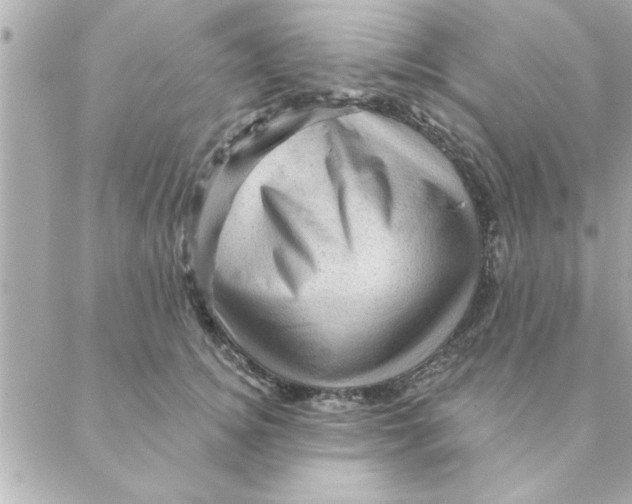 X0000088160756200706051051