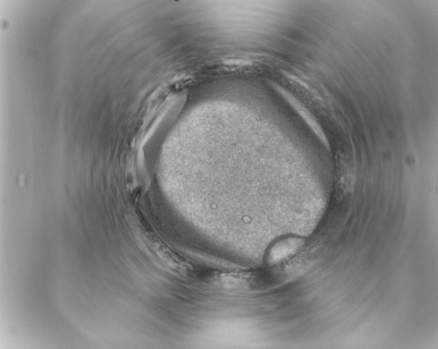 X0000088160758200706051051