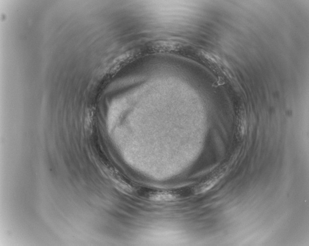 X0000088160759200706051051