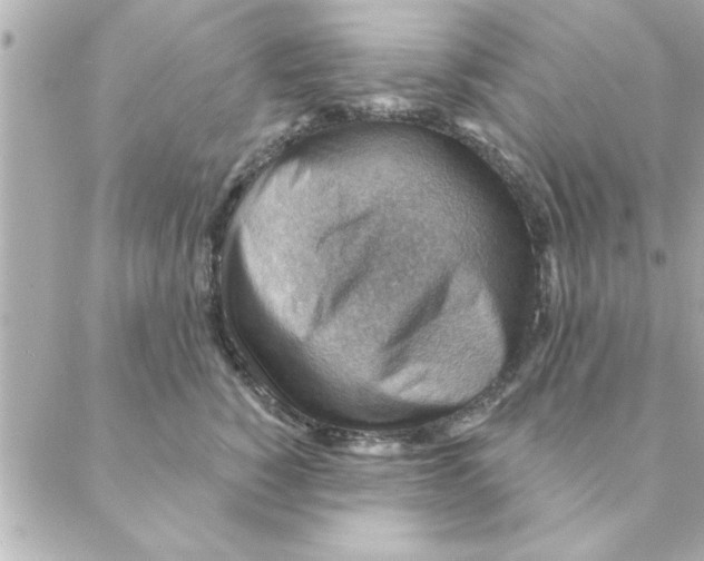 X0000088160760200706051051