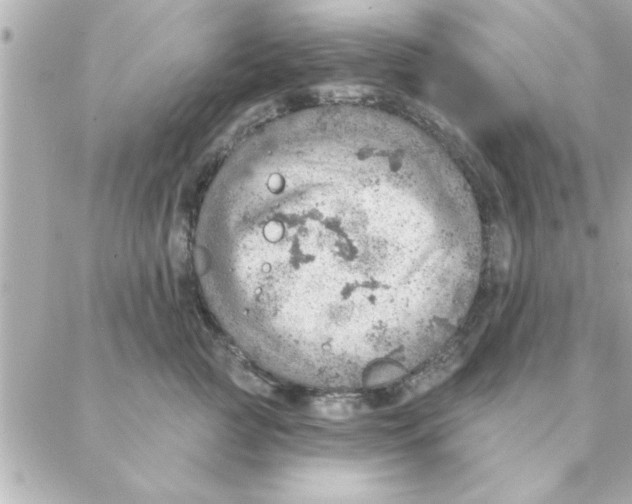 X0000088160761200706051051