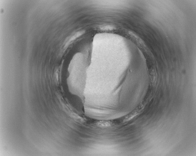 X0000088160762200706051051