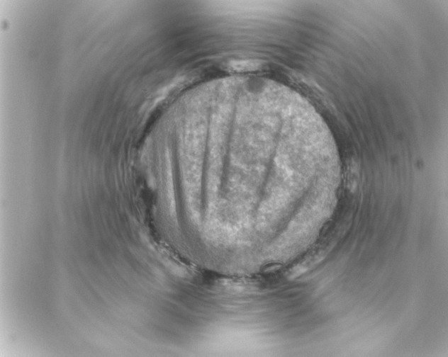 X0000088160763200706051051