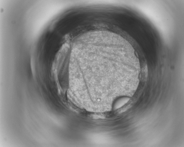 X0000088160765200706051051