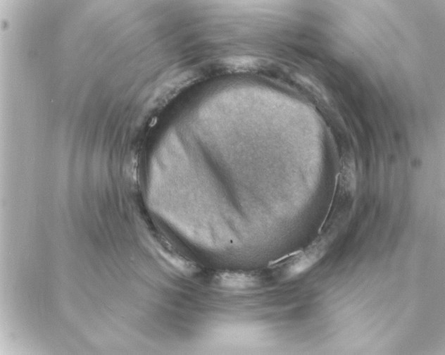 X0000088160766200706051051