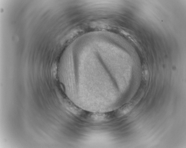 X0000088160767200706051051