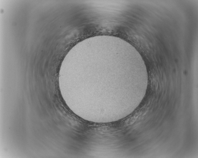 X0000088160769200706051050