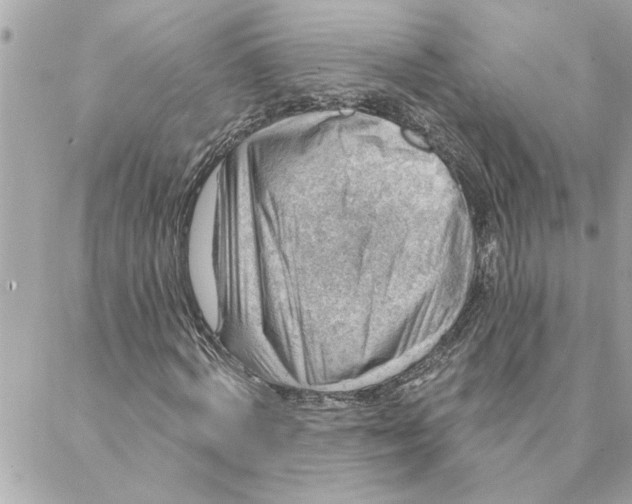 X0000088160772200706051050