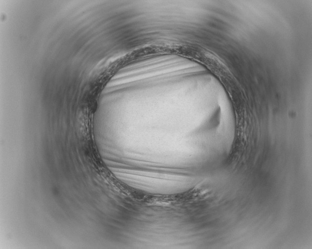 X0000088160773200706051050