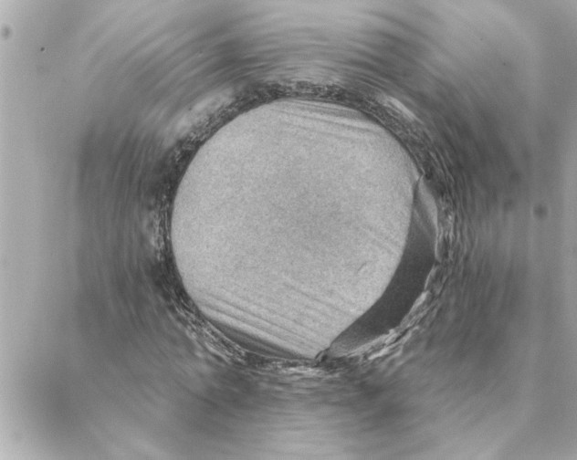 X0000088160774200706051050