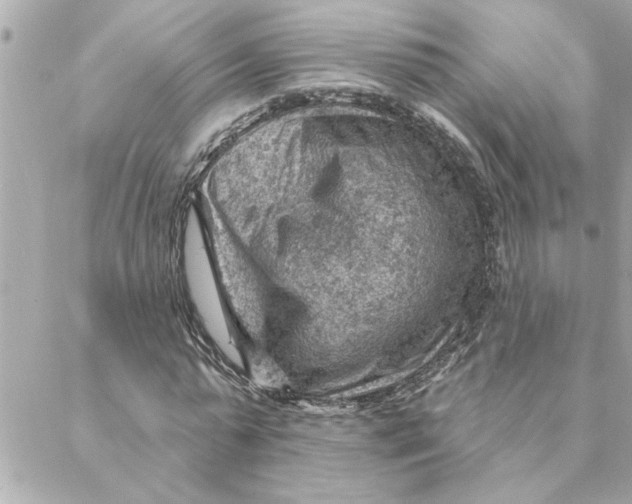 X0000088160775200706051050