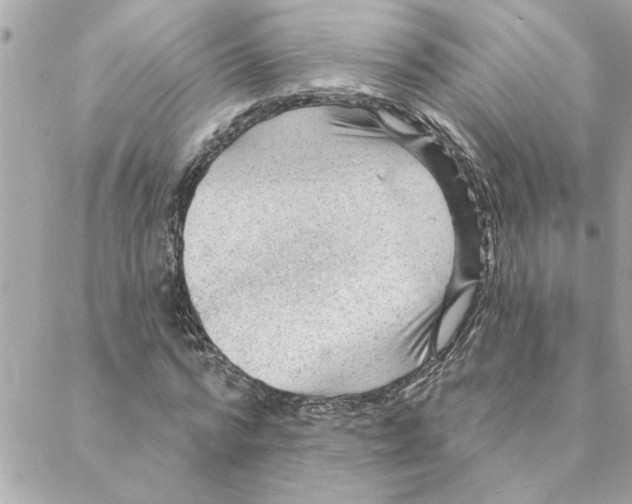 X0000088160776200706051050