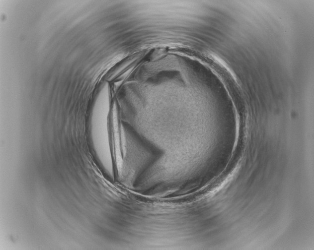 X0000088160777200706051050