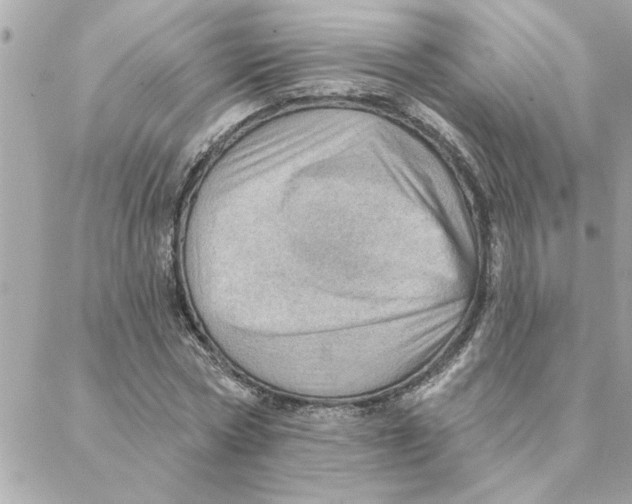 X0000088160778200706051050