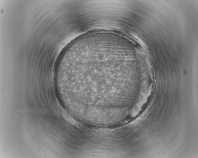 X0000088160779200706051050