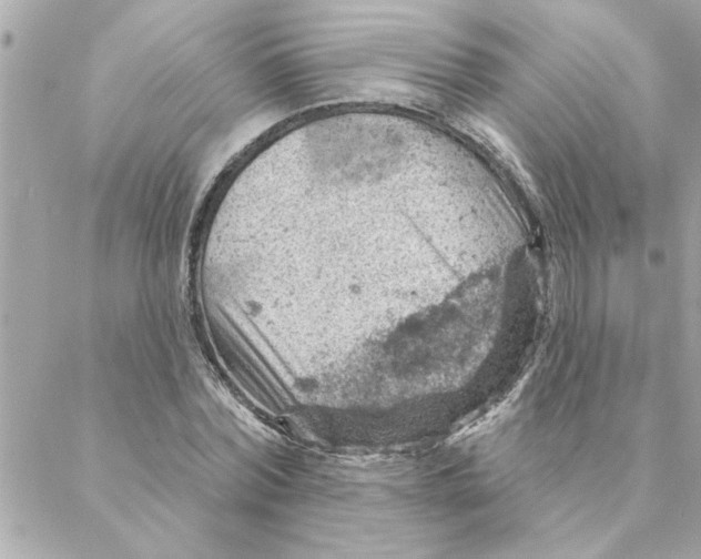 X0000088160780200706051050