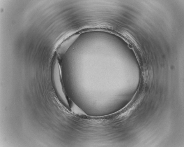 X0000088160781200706051050