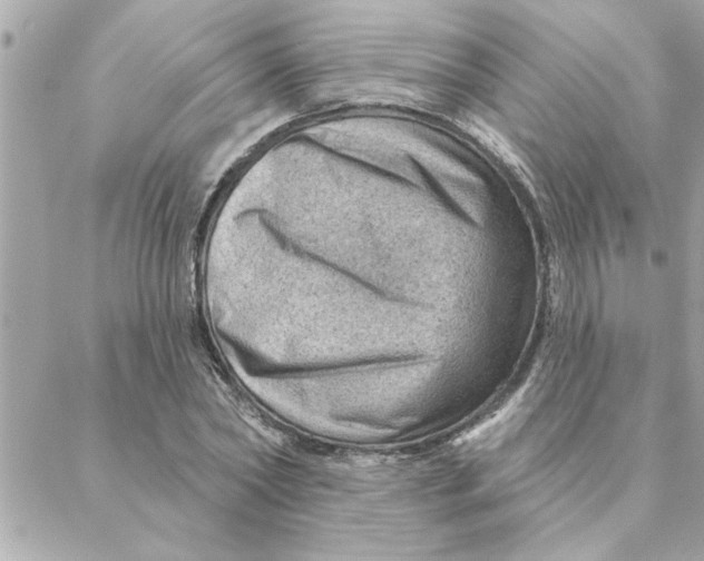 X0000088160782200706051050