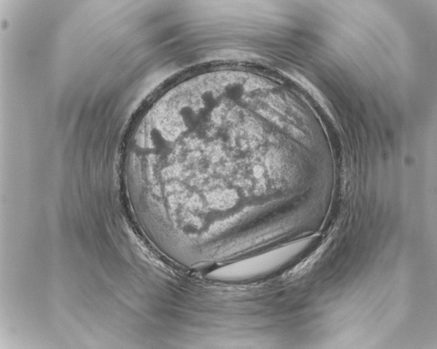 X0000088160783200706051050