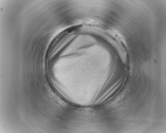 X0000088160784200706051050