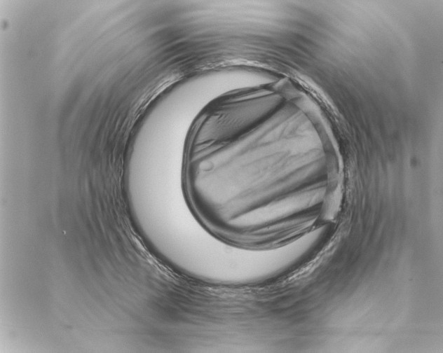 X0000088160785200706051050