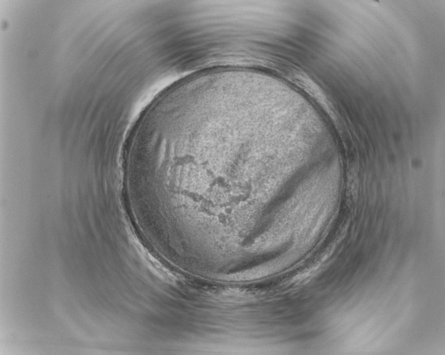 X0000088160787200706051050